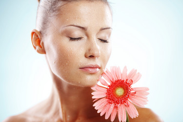 Similar image 1071484