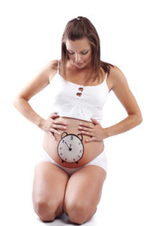 Similar image 1071508