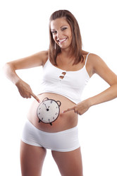 Similar image 1071517