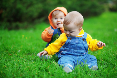 Similar image 1071547