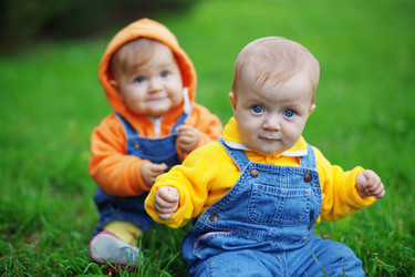 Similar image 1071549