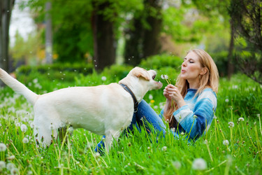 Similar image 1071570