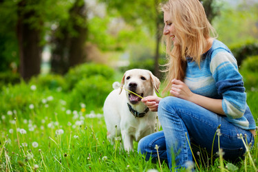 Similar image 1071572