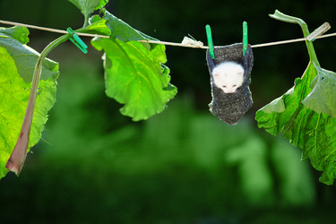 Similar image 1071636