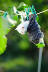 Similar image 1071637