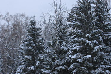 Similar image 1071648