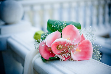 Similar image 1071652