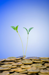 Similar image 1071687