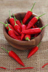 Similar image 1071760