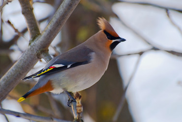 Similar image 1071936