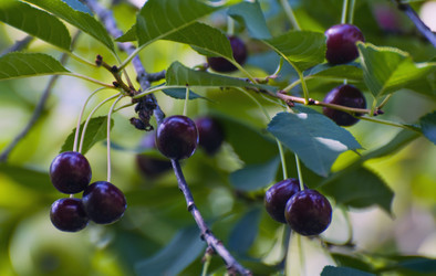 Similar image 1071941