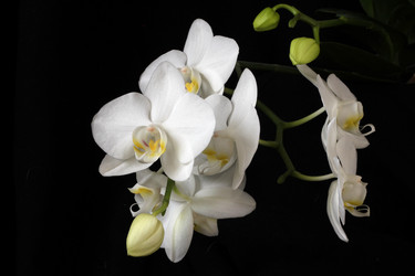 Similar image 1072009