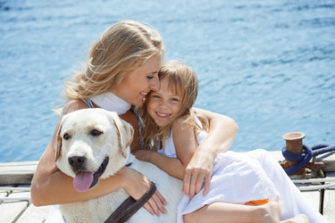 Similar image 1072034