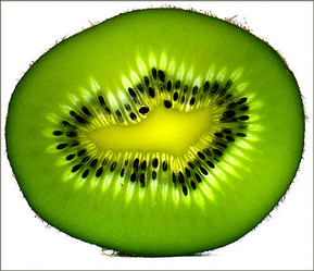 Similar image 1072037