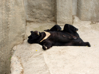 Similar image 1072047