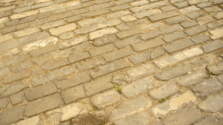 Similar image 1072086