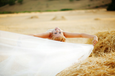 Similar image 1072122