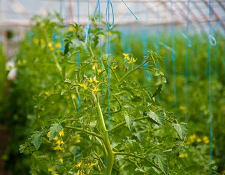 Similar image 1072167