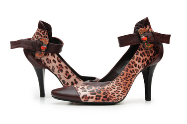 Similar image 1072174