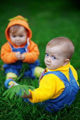 Similar image 1072179