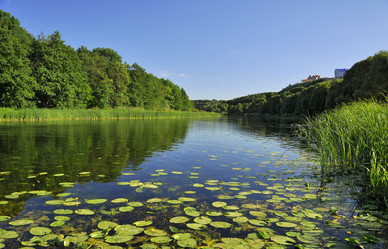 Similar image 1072185