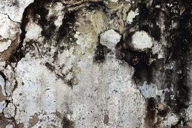 Similar image 1072264