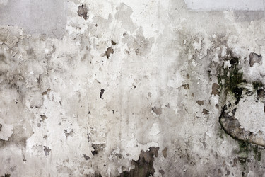 Similar image 1072268