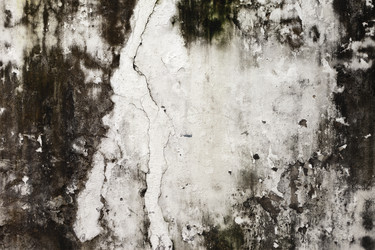 Similar image 1072297