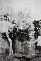 Similar image 1072301