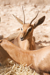 Similar image 1072303