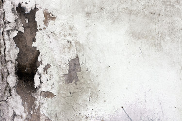 Similar image 1072306