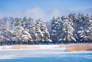 Similar image 1072332