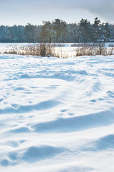 Similar image 1072340