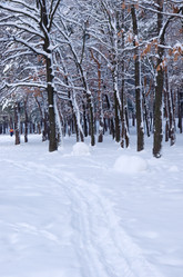 Similar image 1072347