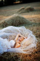 Similar image 1072378