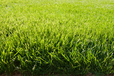 Similar image 1072394