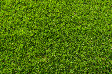 Similar image 1072398