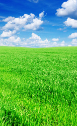 Similar image 1072444