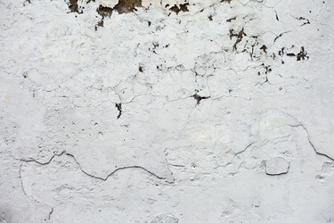 Similar image 1072449