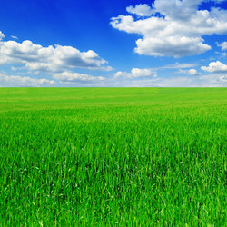 Similar image 1072476