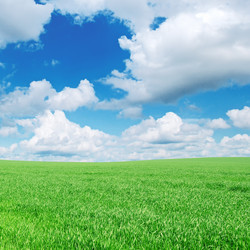 Similar image 1072480