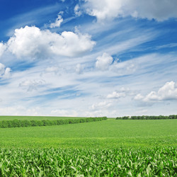 Similar image 1072498