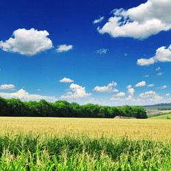 Similar image 1072500