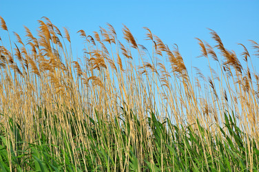 Similar image 1072523