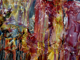 Similar image 1072591