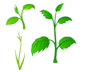 Similar image 1072639