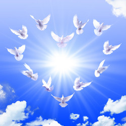 Similar image 1072653