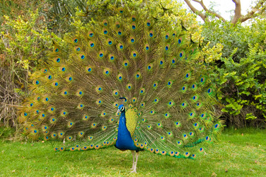 Similar image 1072711