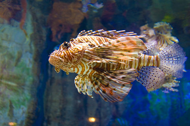 Similar image 1072716