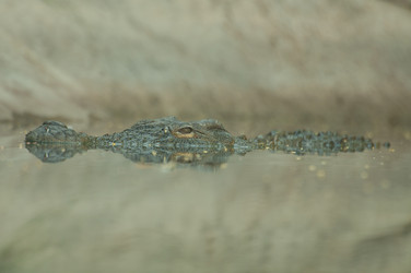 Similar image 1072727